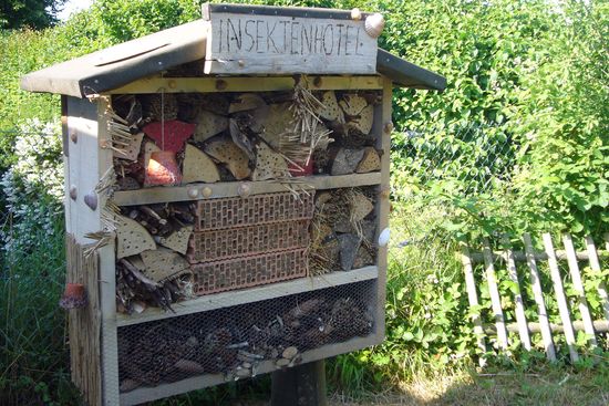 Das neue Insektenhaus.